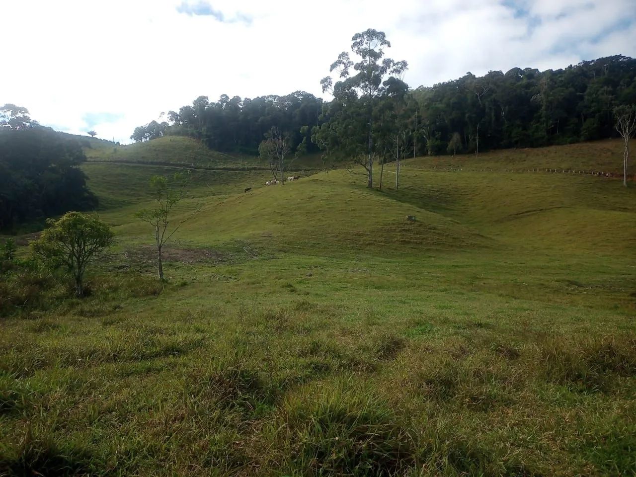 Fazendinha 4 Alqueires Araguia  - Foto 4
