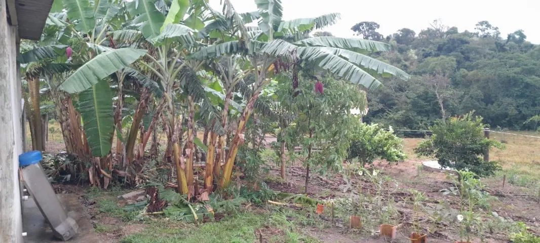 Vende-se sítio em Itapetininga 31.000m2 - Foto 3