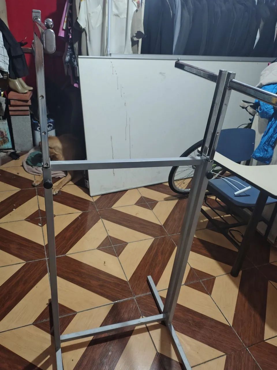 Arara  - Foto 4
