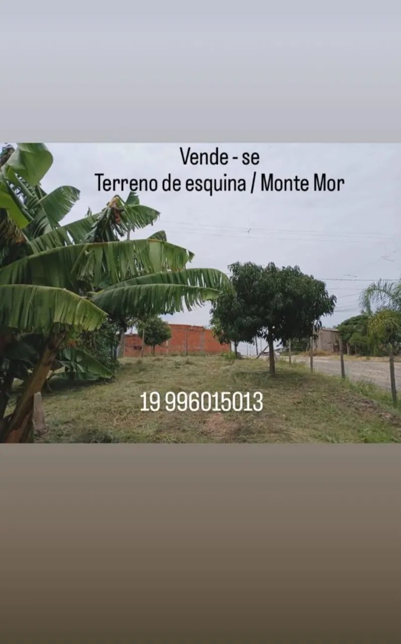 Terreno de Esquina