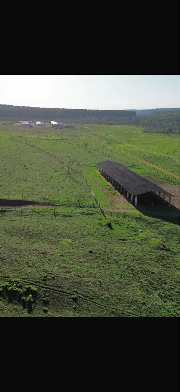 Excelente fazenda no triângulo mineiro  - Foto 4