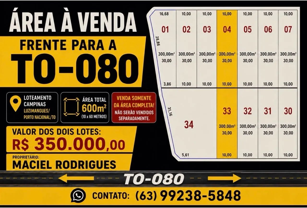 2 LOTES JUNTOS NA TO-080 Luzimangues