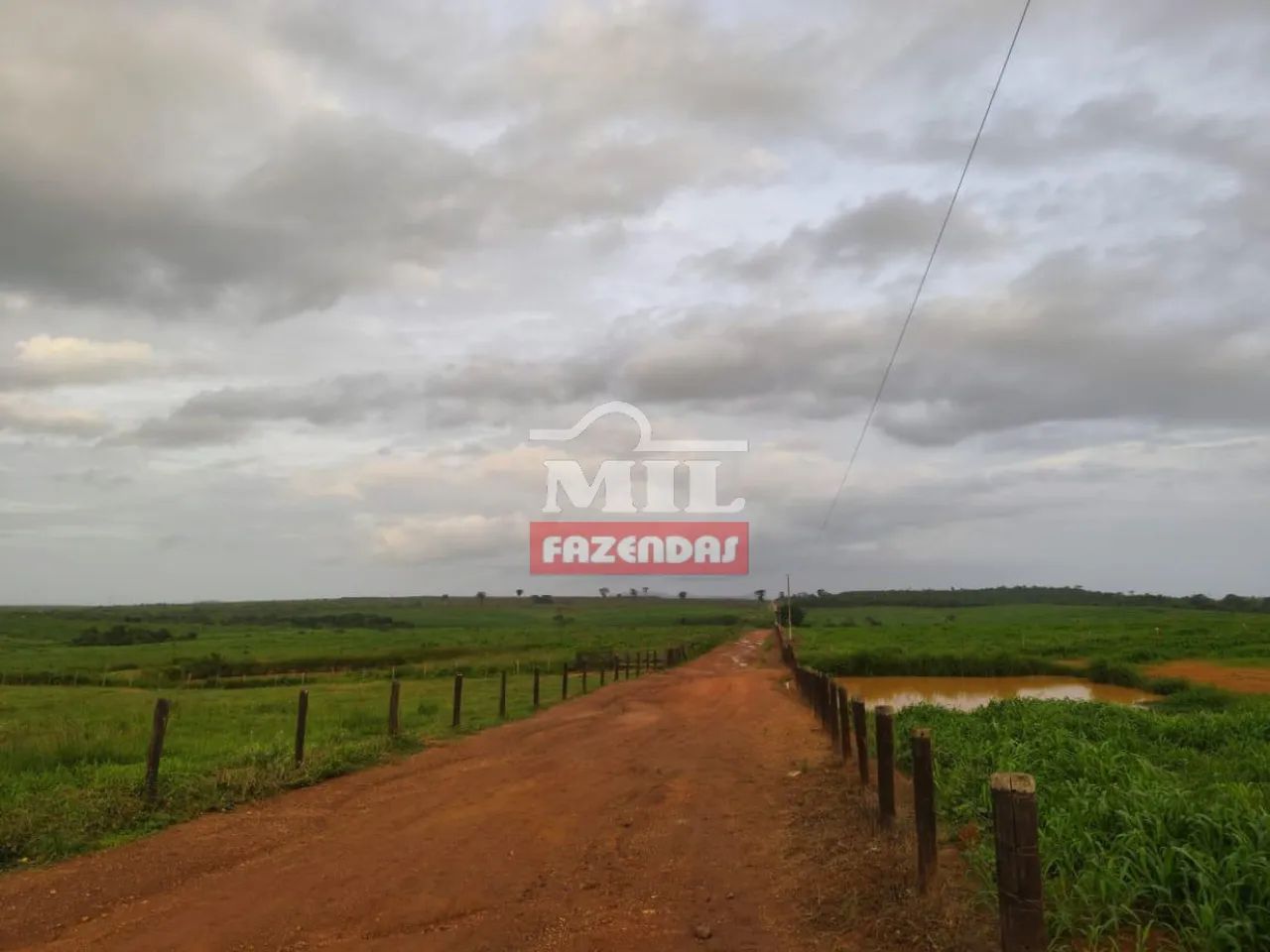 Fazenda 460 Alqueires (2.226 hectares) Xinguara - PA - Foto 5