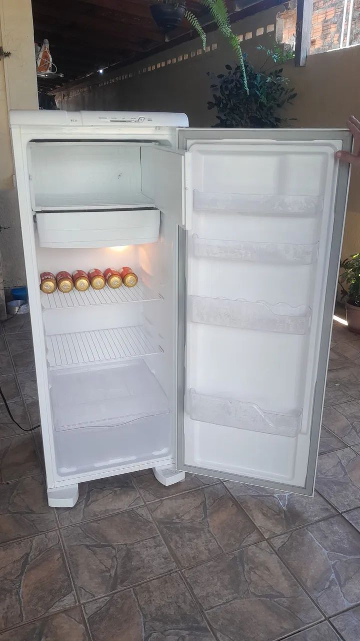 Vendo baratinho semi nova ELETROLUX RE31  - Foto 2