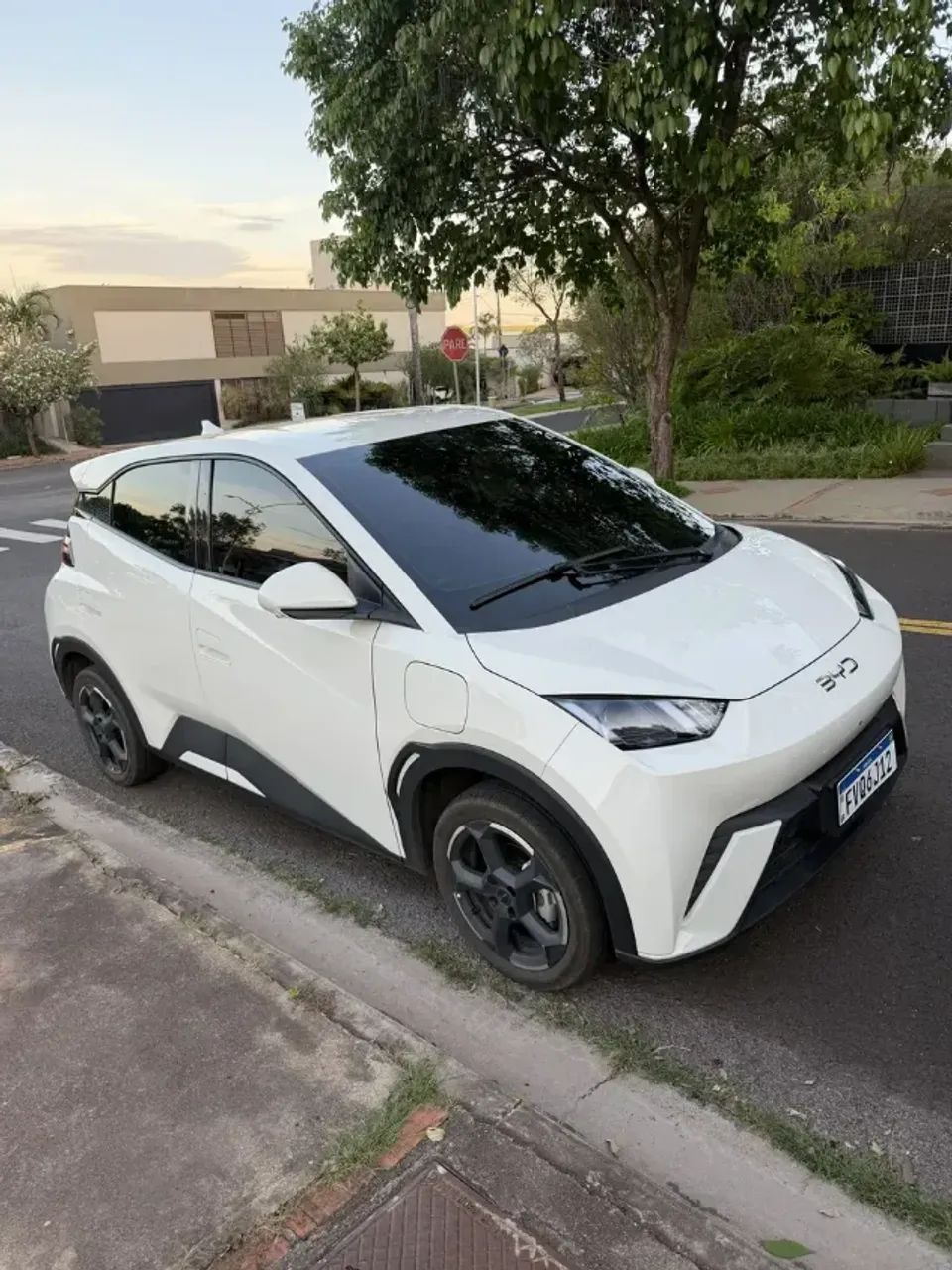 BYD Dolphin Mini (Elétrico) 2025 - Foto 4