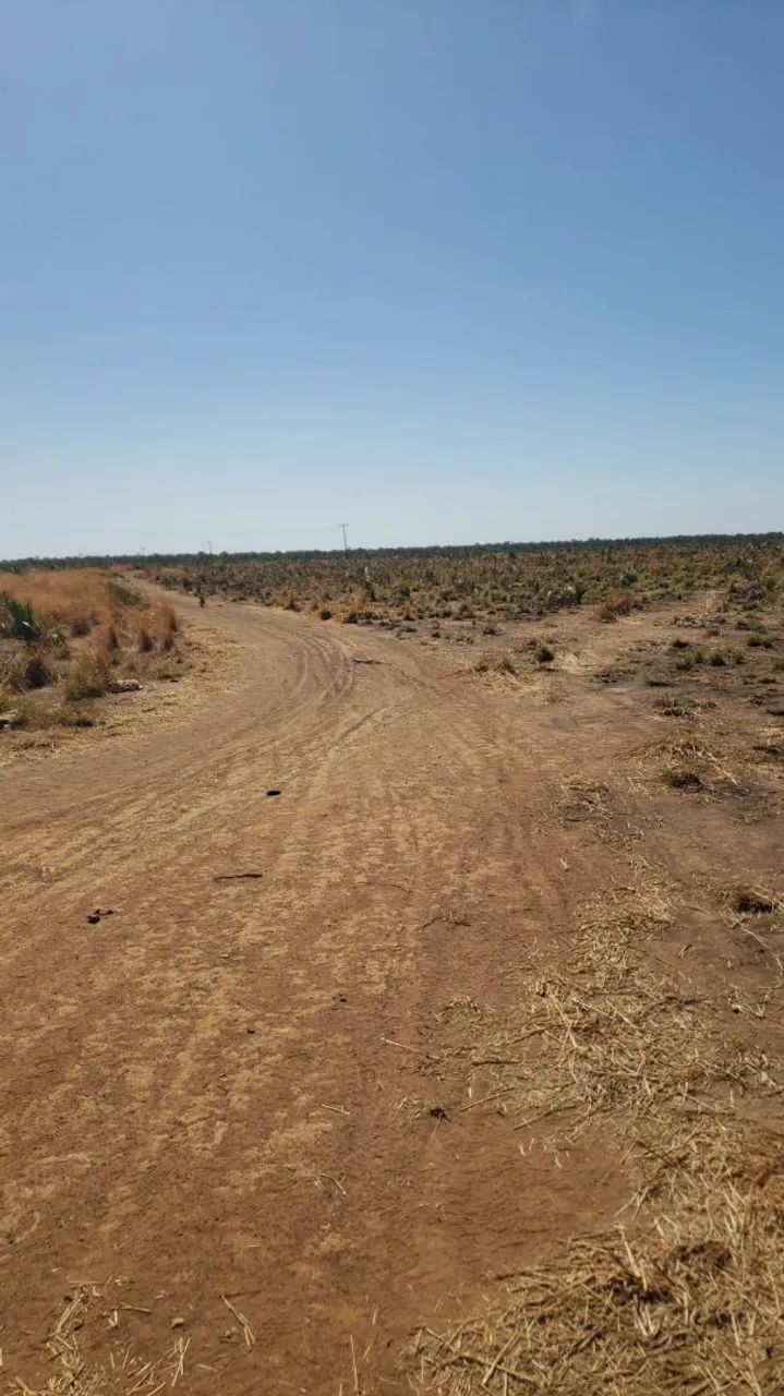 2.606 ha a venda em Uruçuí-PI 
