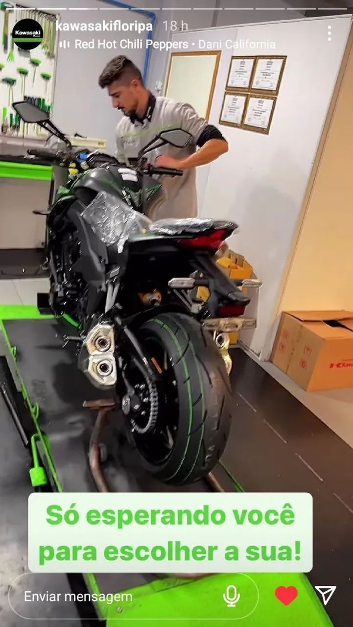Kawasaki Z1000 R Edition