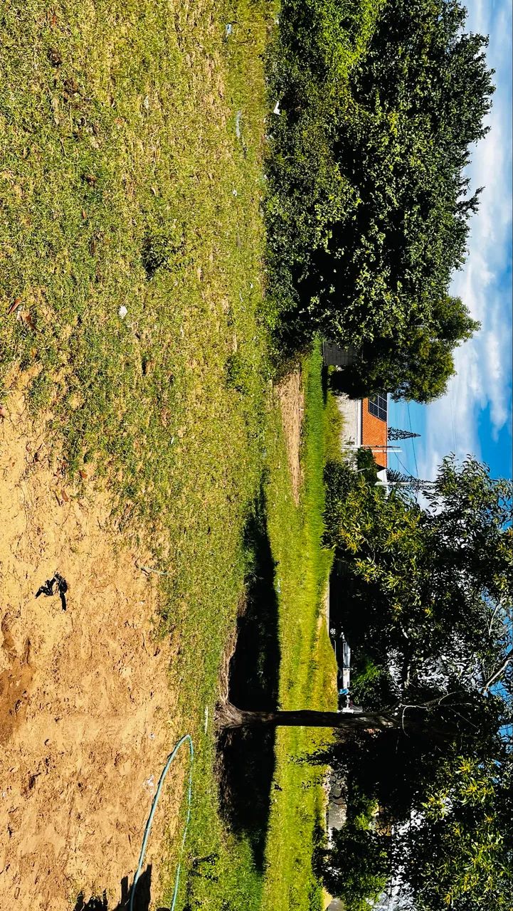 Foto - Campos dos Goytacazes - Parque Leopoldina