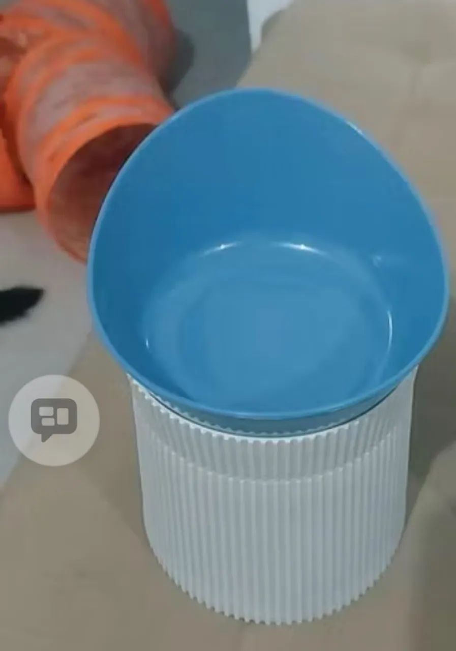 comedouro bebedouro cães e gatos