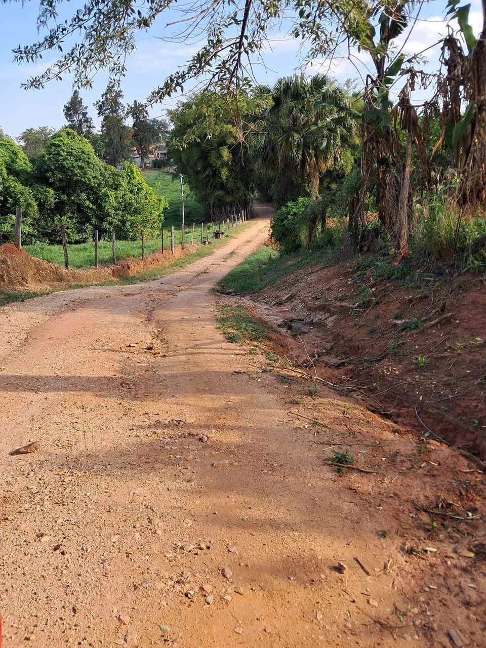 Fazenda a venda  - Foto 2