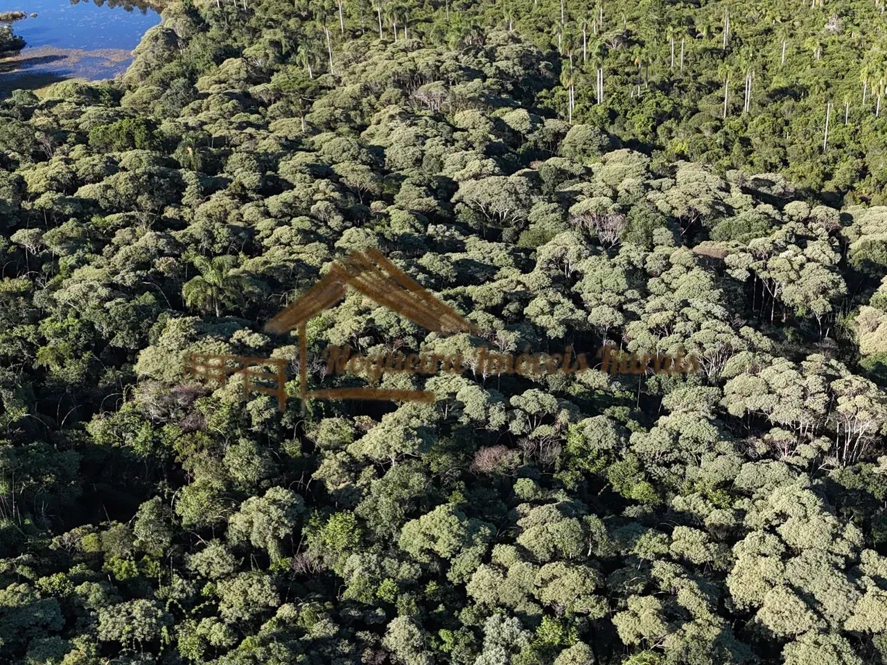 Fazenda para área de reserva na região de Guapiara-SP - Foto 5