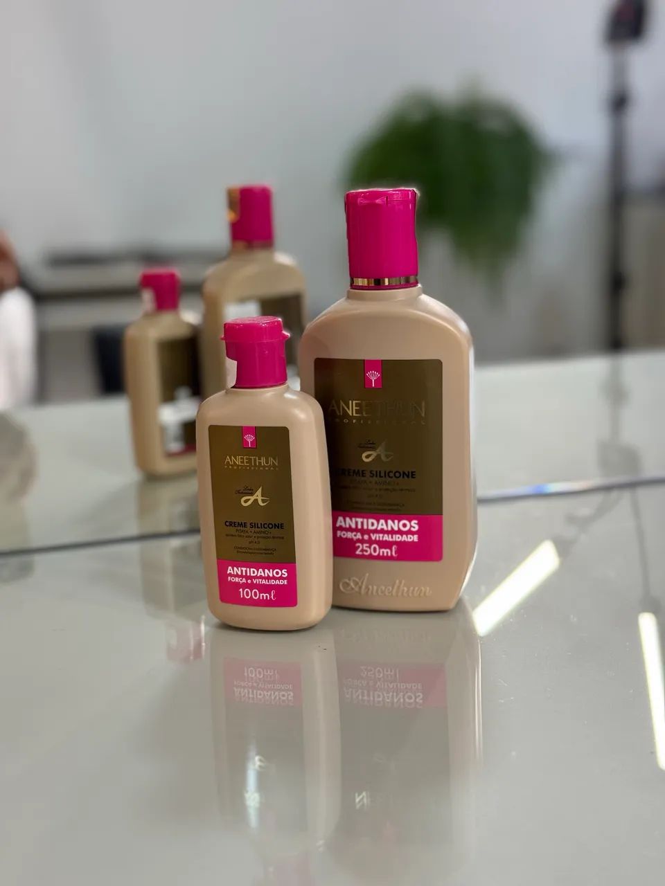 Shampoo 