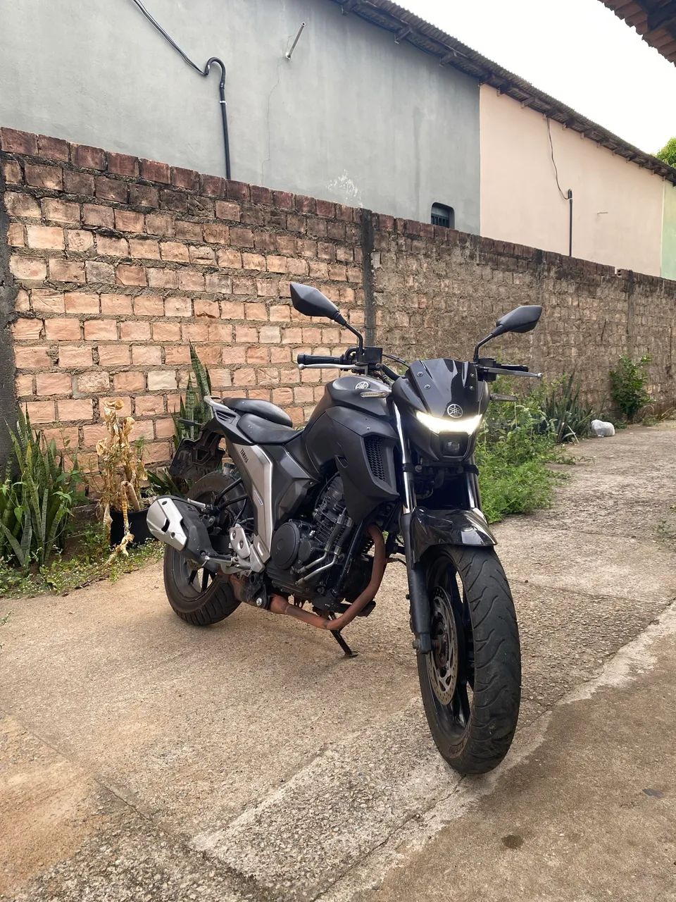 Fz25 2022