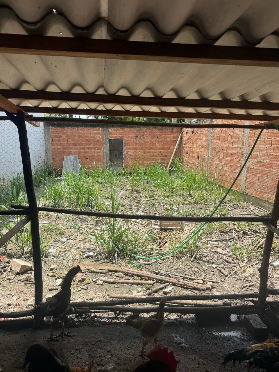 Foto - Rio de Janeiro - Bangu