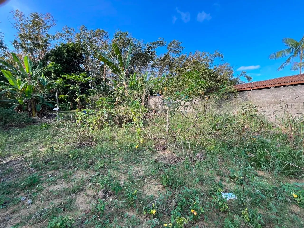 Terreno em Amarelos - Guarapari  - Foto 4