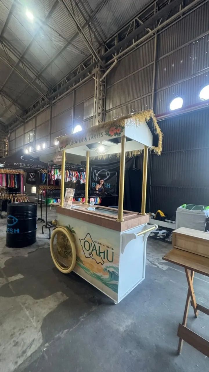 Carrinho Gourmet Profissional com Freezer - Sorvete, Gelato e Eventos - Foto 2