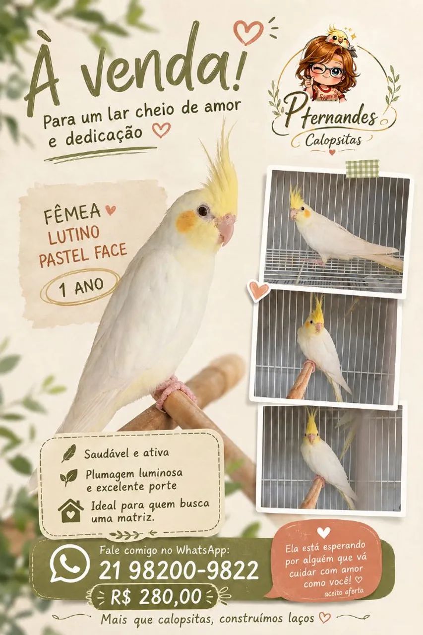 Disponíveis  - Foto 2