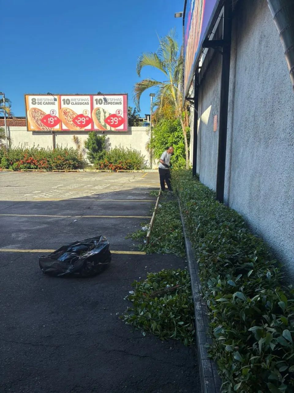 Jardinagem  - Foto 4