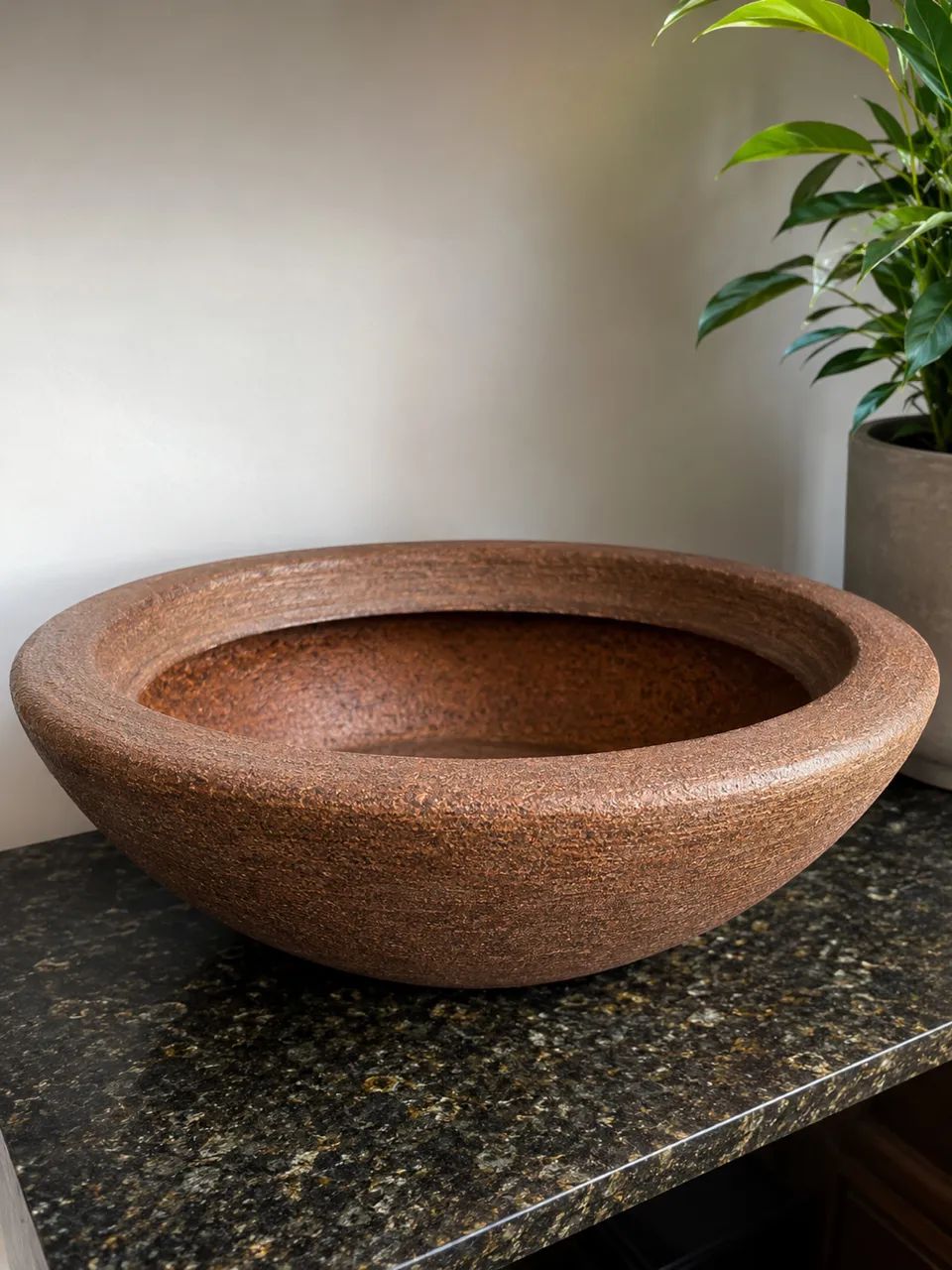 Vaso de Planta 