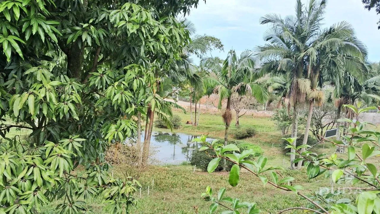 Sítio à Venda em Cocal do Sul - Foto 4