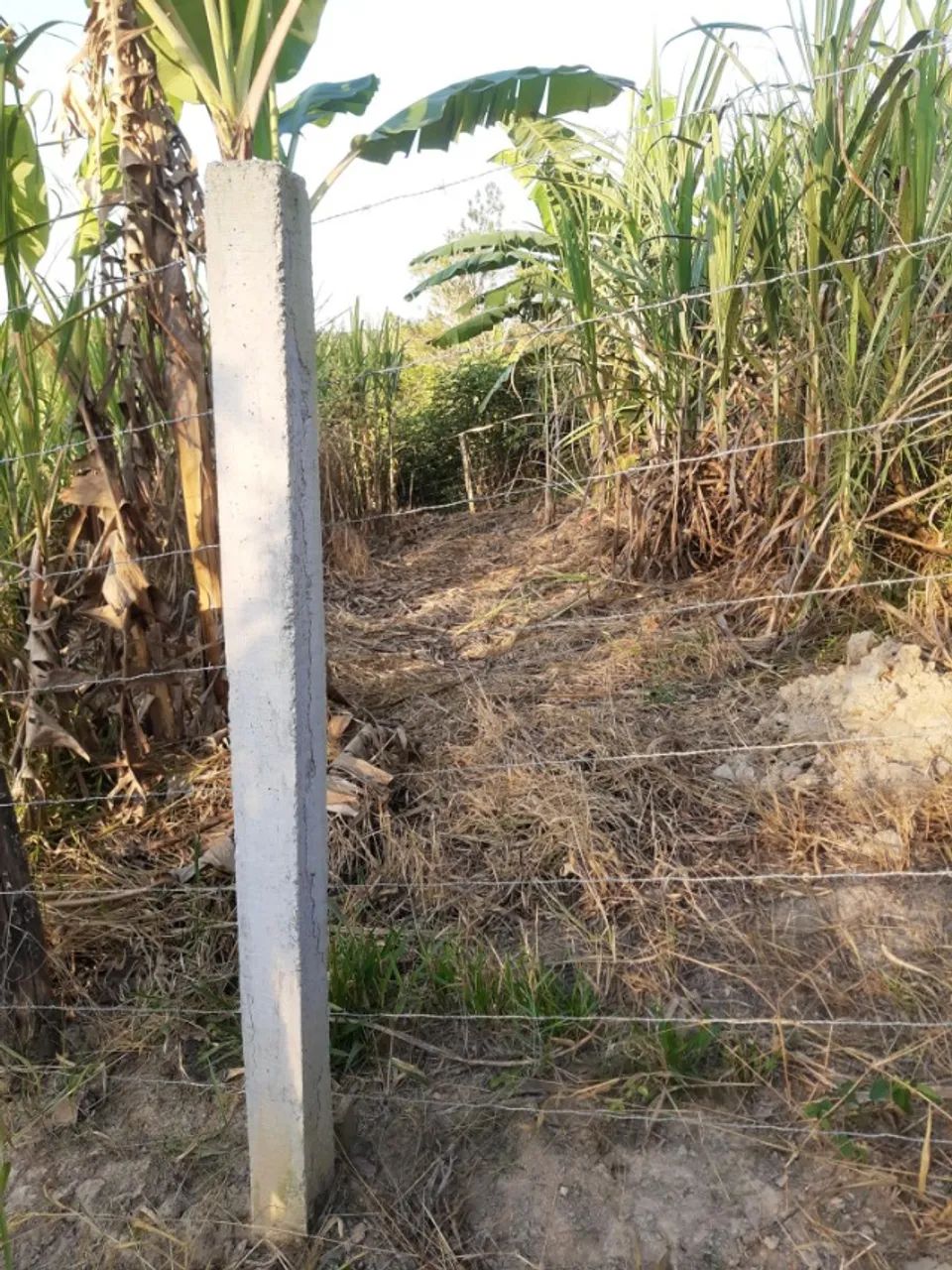 Terreno 1000 m² - Foto 2