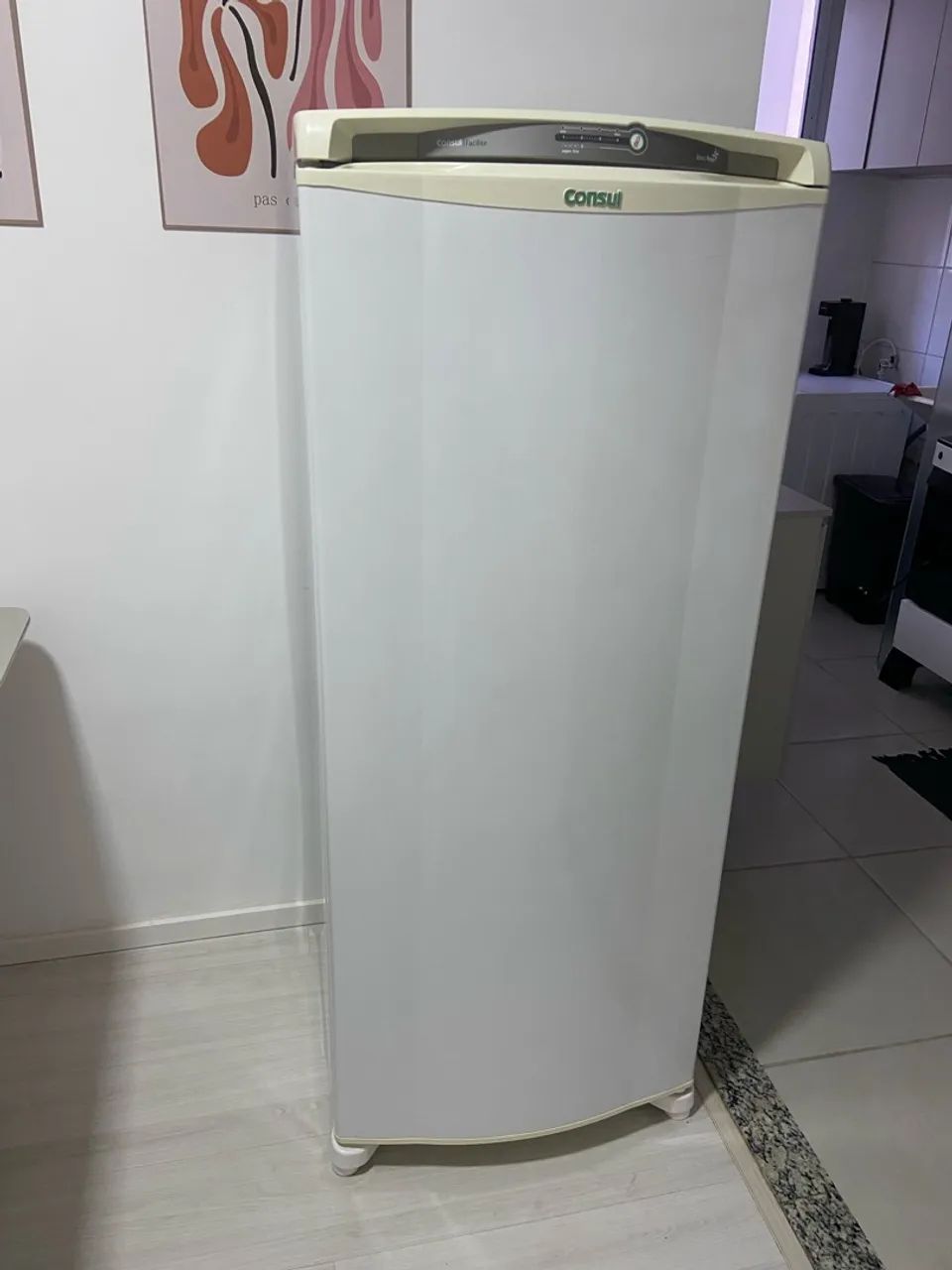 Geladeira facilite cônsul usada - Foto 4