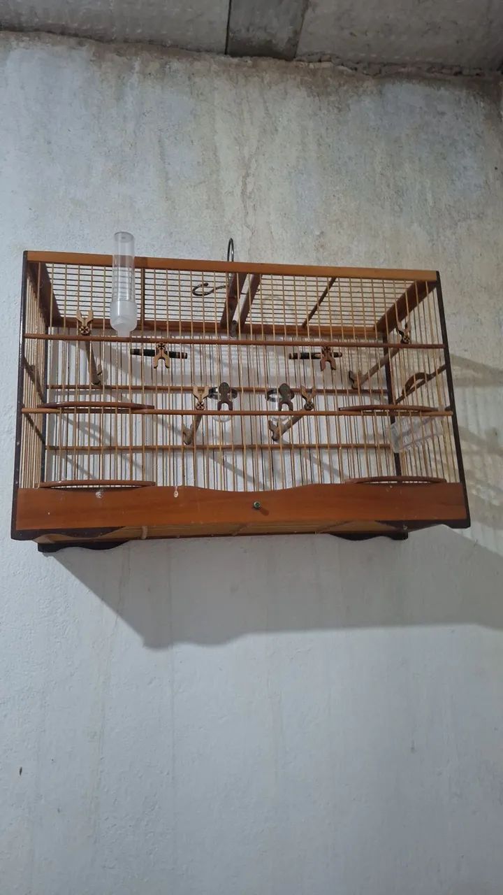 Gaiola de aço inox mais voador  - Foto 2