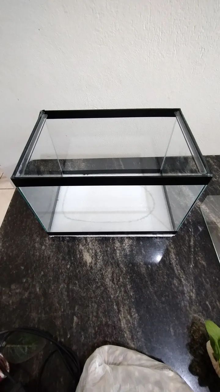 Aquário completo  - Foto 2
