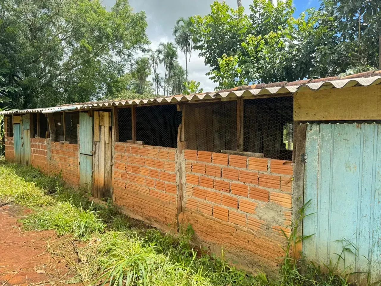 SÍTIO À VENDA  PIRINÓPOLIS / GO - Foto 3