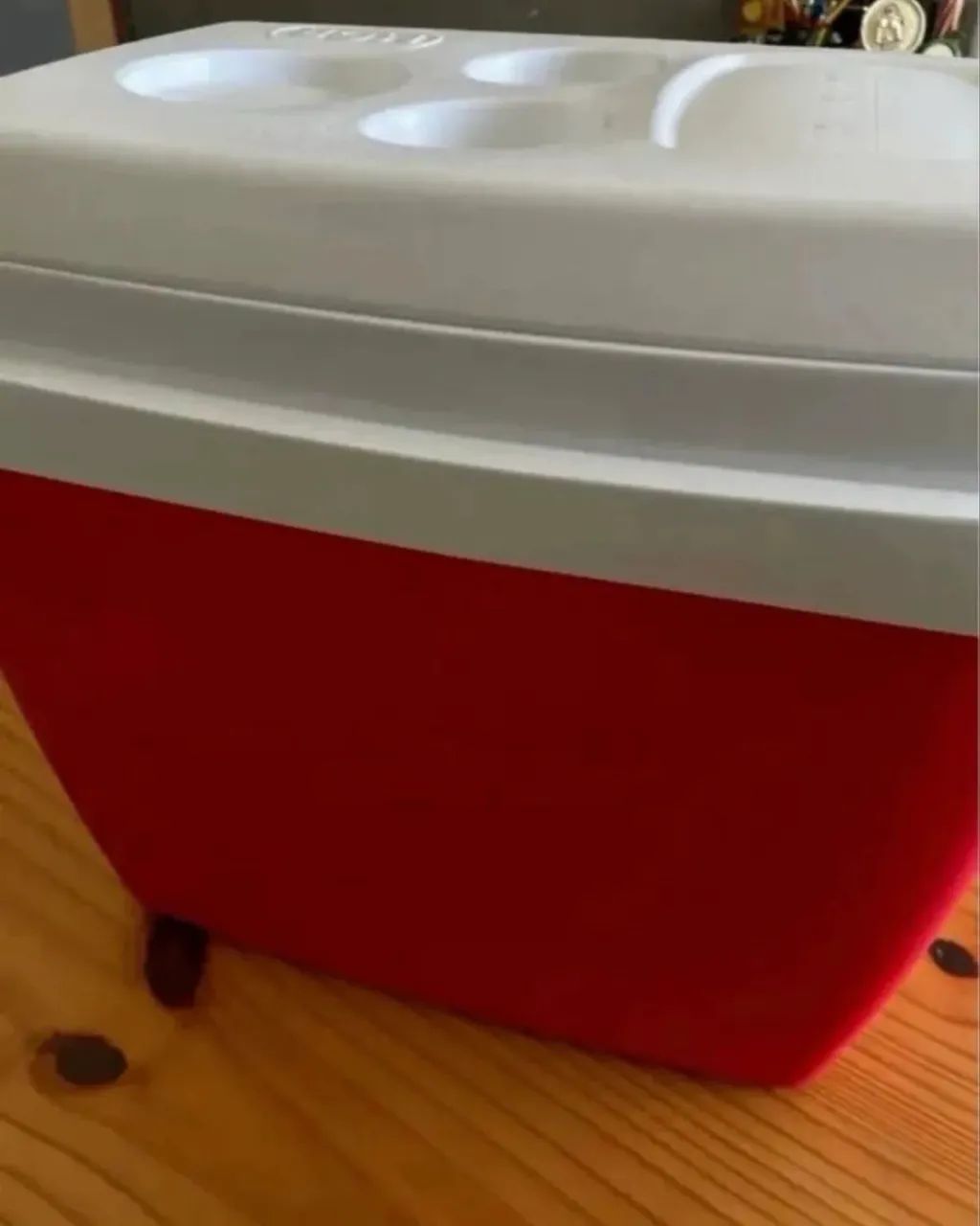 Cooler novo 26L