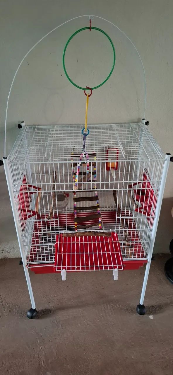 Gaiola  - Foto 3
