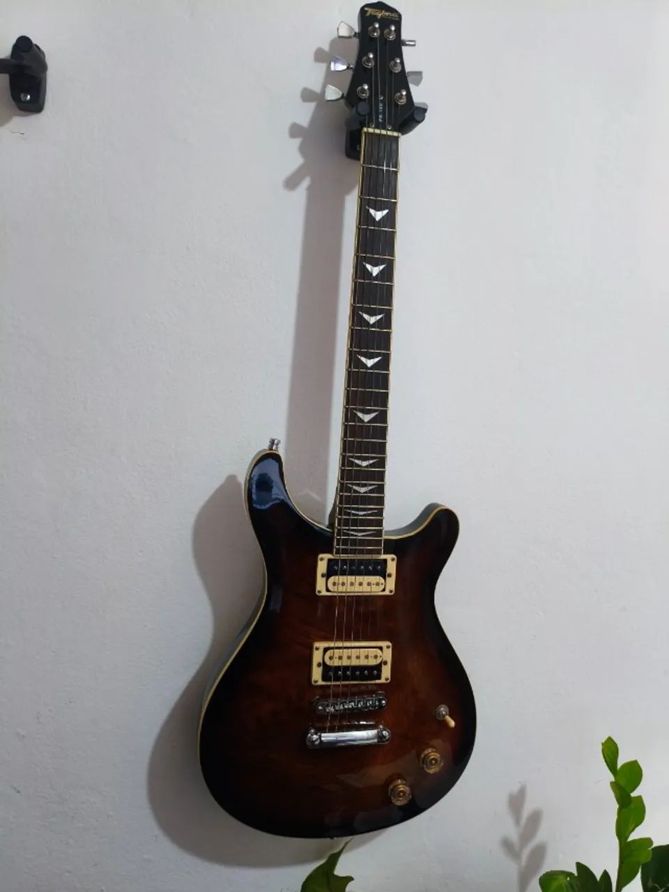 tagima pr100