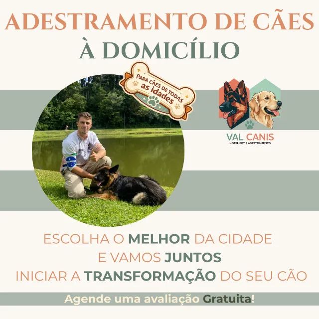 Adestrador de cães em Curitiba  - Foto 2