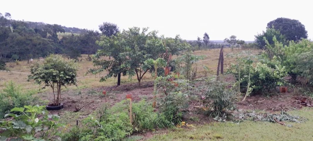 Vende-se sítio em Itapetininga 31.000m2 - Foto 4