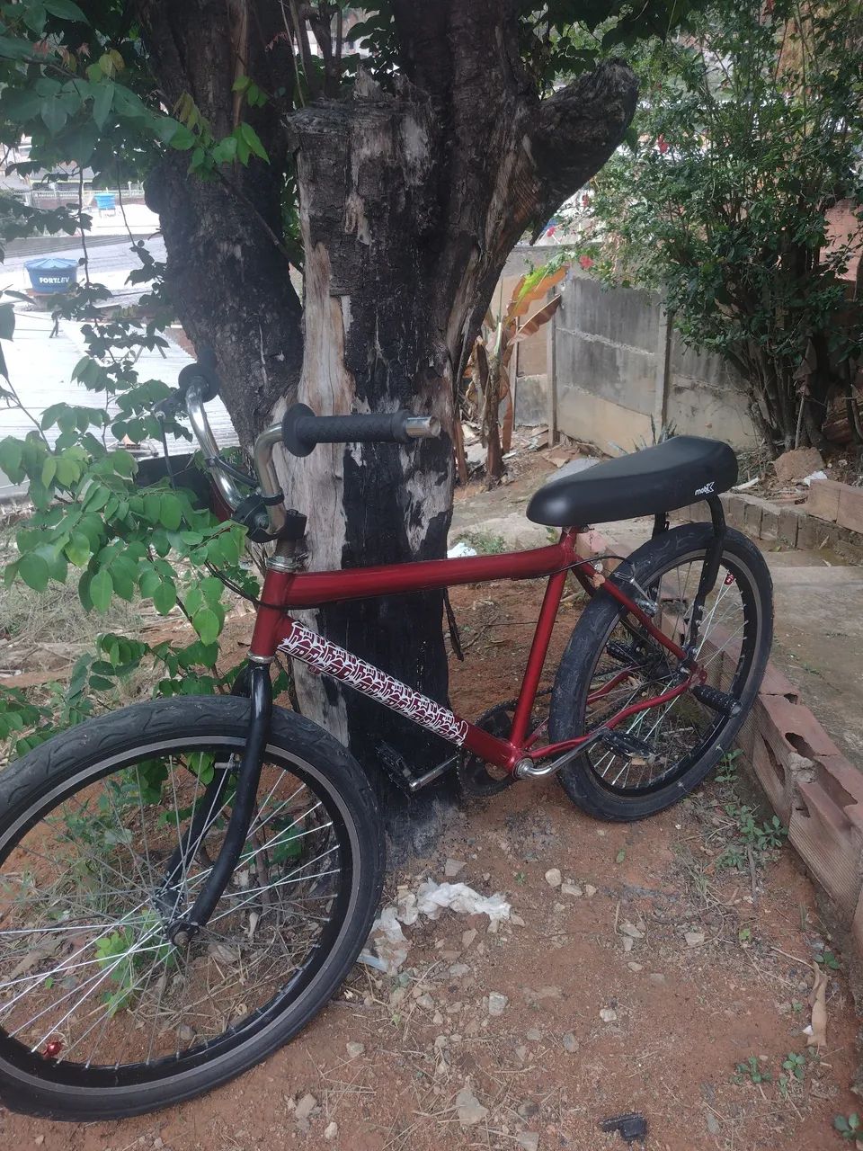 Bicicleta montadinha 