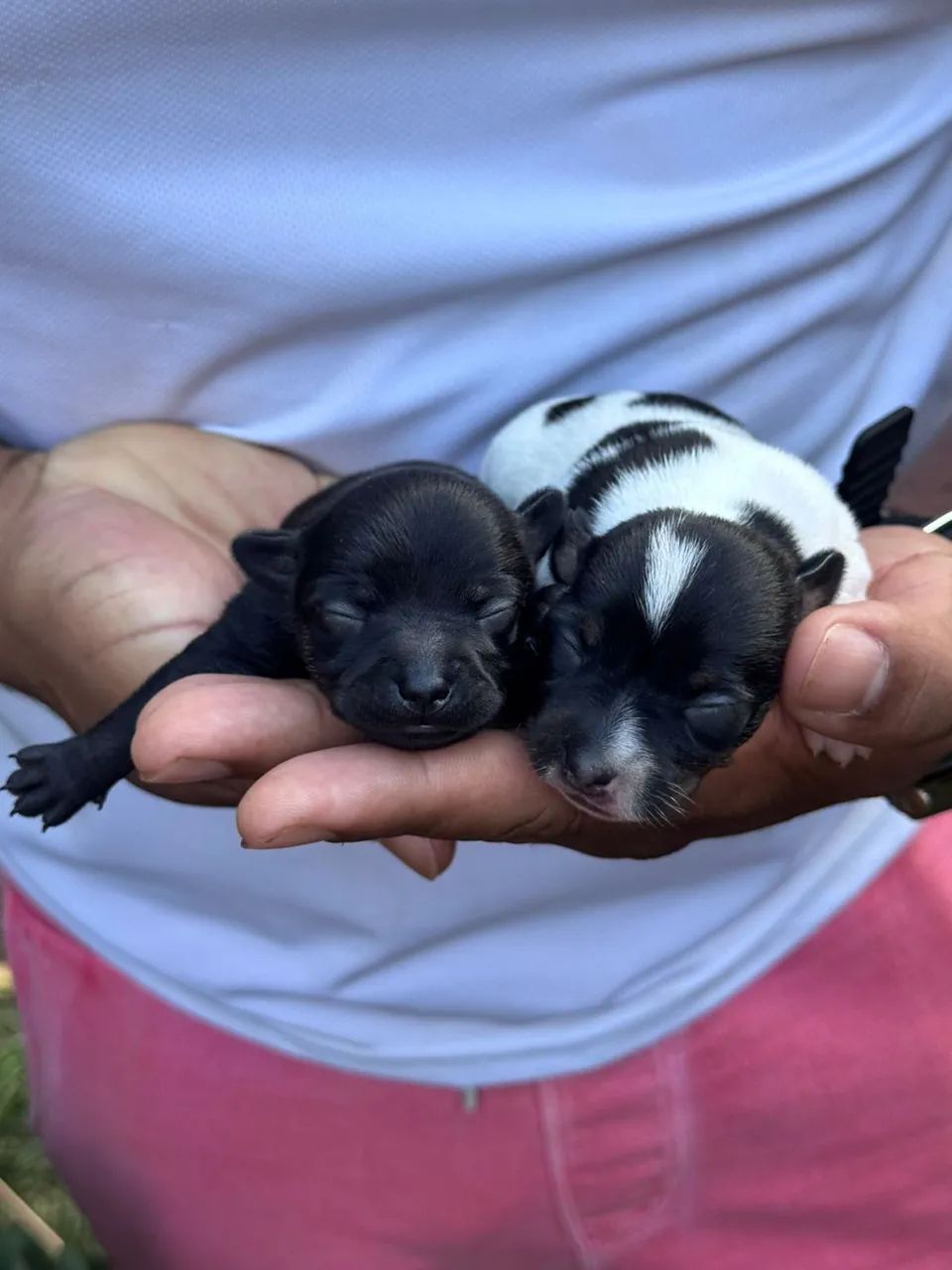 Bebês miniaturas  - Foto 3