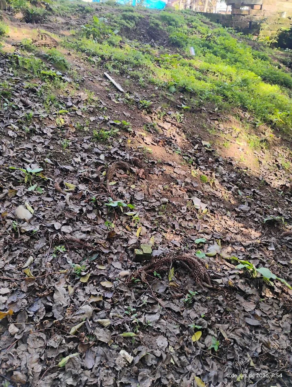 Terreno em Gramado rs  - Foto 4
