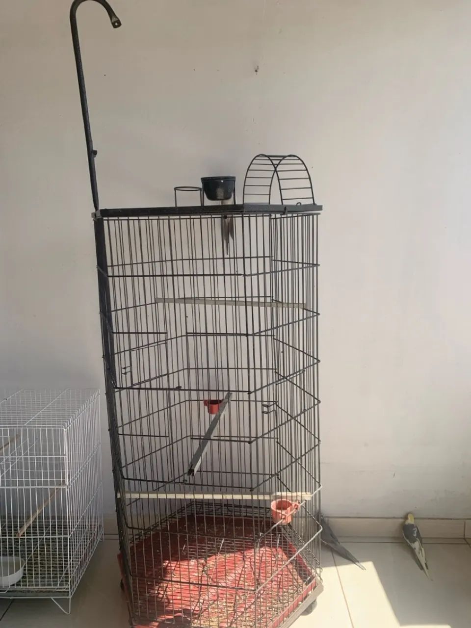 Gaiola grande redonda pássaro  - Foto 3