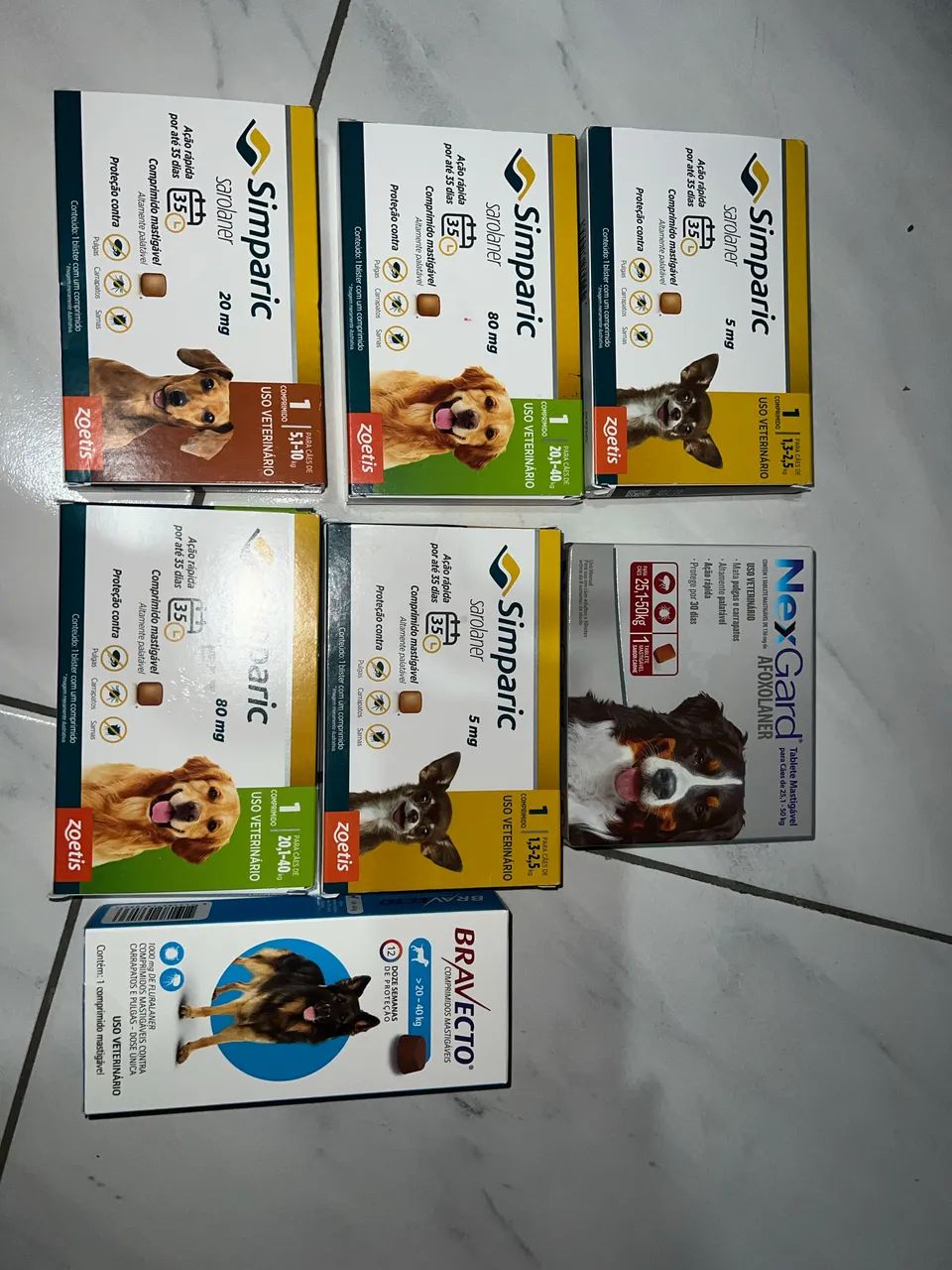 Cachorro - Foto 3