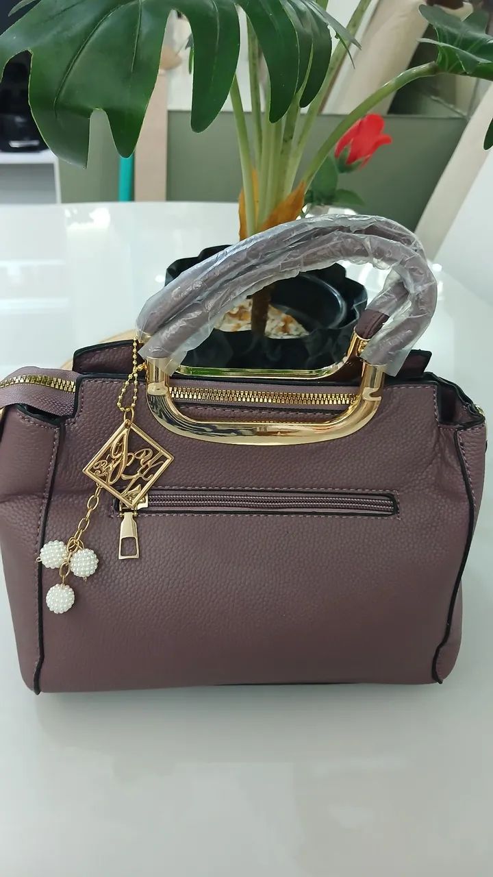 Bolsa Social - Foto 3