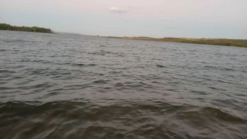 Lotes no Lago Corumba IV