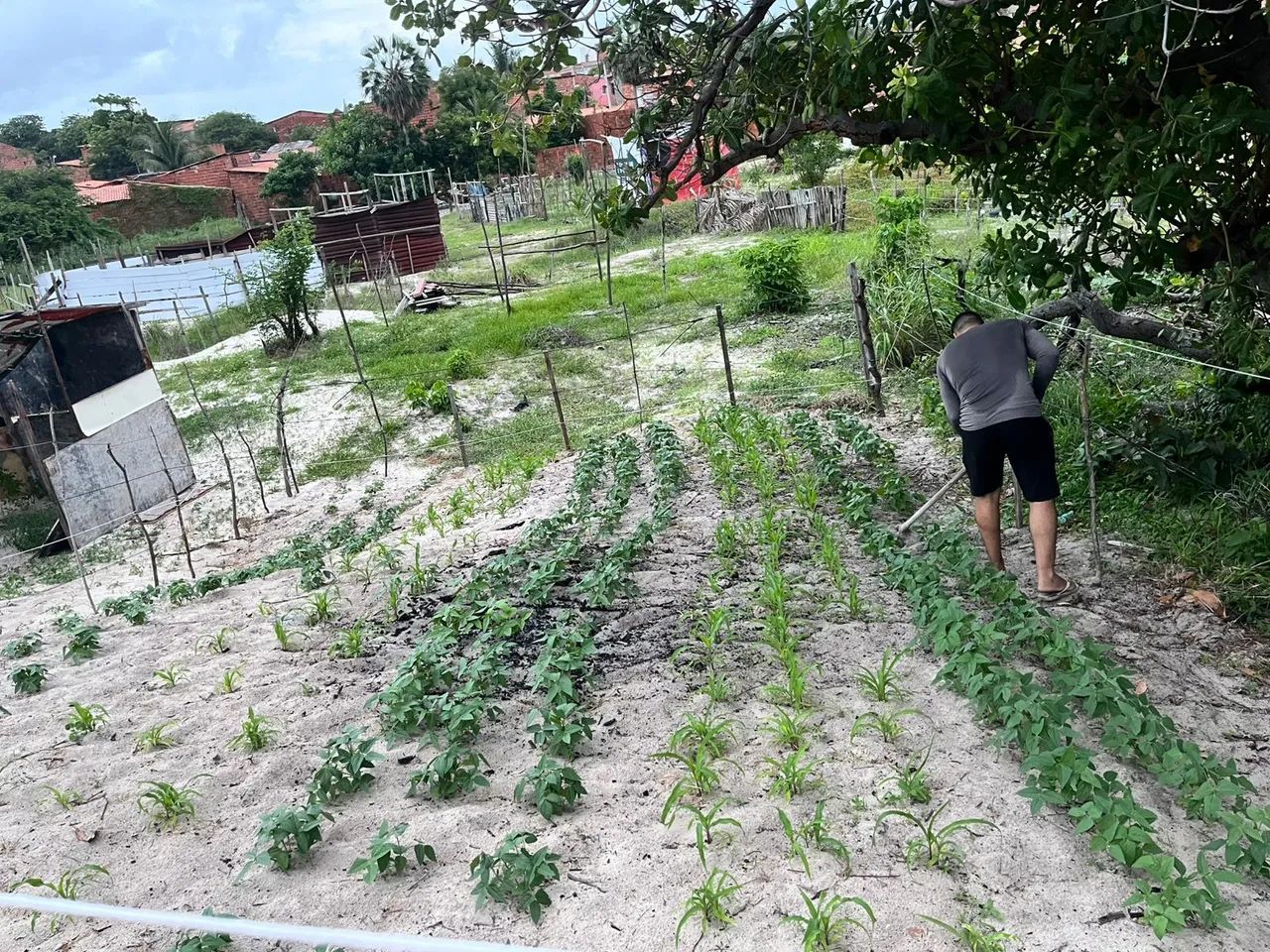 Terreno no preço para vender logo. aceito troca - Foto 2