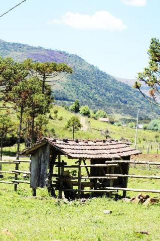 Urubici Sitio com 4 hectares frente para o Rio - Foto 16