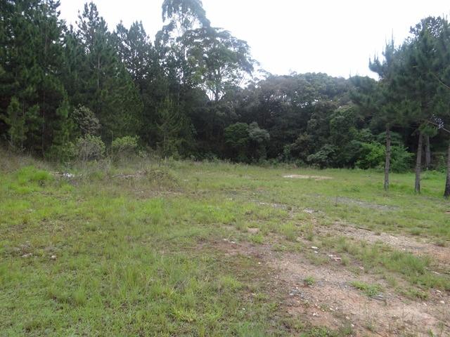 Terreno comercial plano na Ferraria - Campo Largo - Foto 3