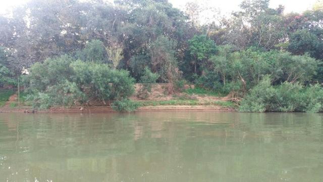 Vendo uma chácara de 2 hectares em barão, nas margem do pantanal! - Foto 7