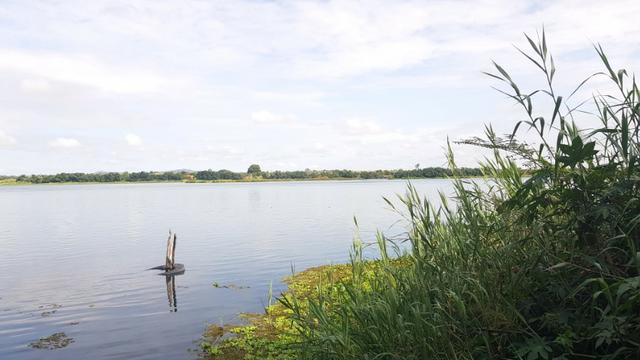 Fazenda 50 Hectares beira de rio Sâo Francisco - Venda - Foto 15