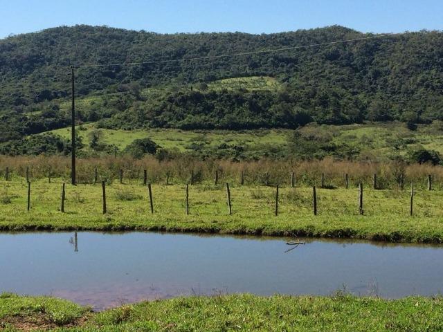 Fazenda de 500 hectares, terra de Furmas - Foto 6