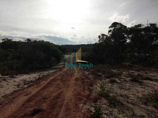 Terreno à venda, 1000 m² por r$ 90.000 - mogiquiçaba - belmonte/bahia - Foto 13