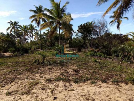 Terreno à venda, 1000 m² por r$ 90.000 - mogiquiçaba - belmonte/bahia - Foto 6