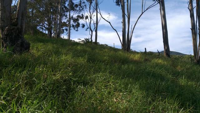 Lindo terreno - Foto 2